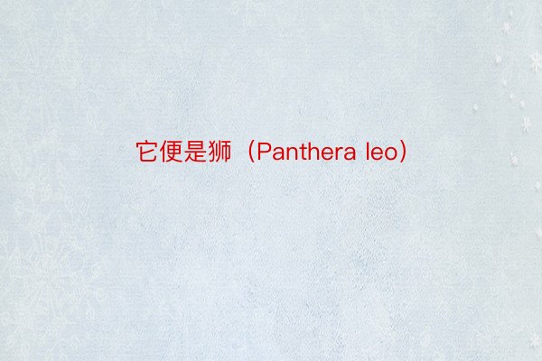 它便是狮（Panthera leo）